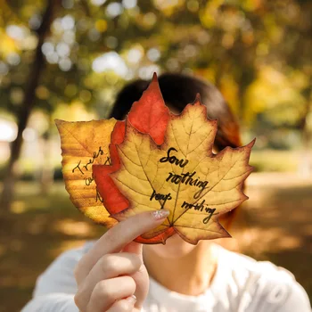 20 Листа серия от Есенни листа с цветни букви, Ретро Растителен материал, хартия, Творчески списание 