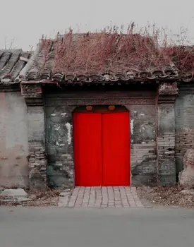 китайските Традиционни Фонове, за снимки в Изоставена Къща размер 5х7 фута, Реквизит за снимки, Студиен Фон