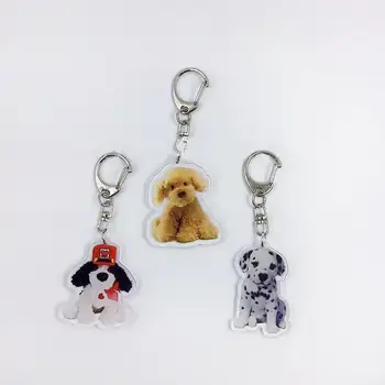 Подарък-ключодържател Ins, ретро сладко кученце, акрилна чанта, Airpods, декоративна висулка за творчески женски раницата Kawaii
